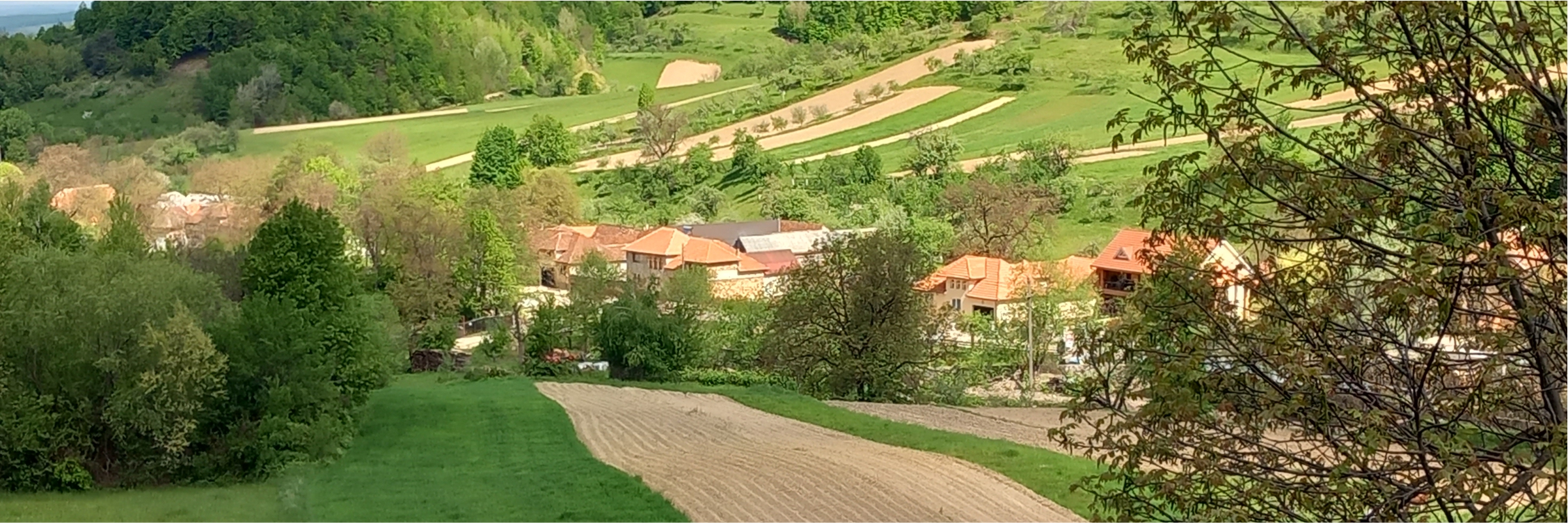 Immobilien Rumänien - Bauernhöfe, Häuser und Grundstücke in den Westkarpaten (Apuseni-Gebirge)